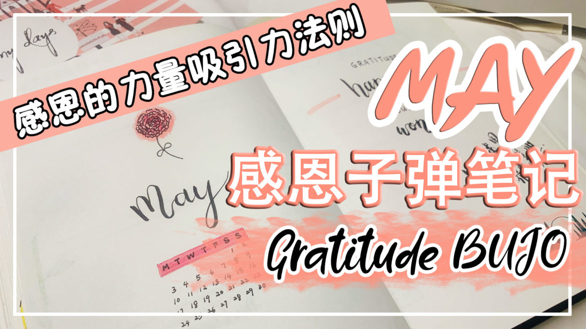 May Carnation Gratitude Bullet Journal BUJO | 感恩康乃馨主题五月子弹笔记